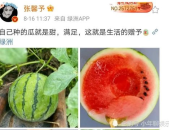 娱乐圈吃瓜哪里好吃,揭秘哪些瓜最甜、哪些瓜最辣