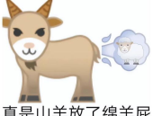 高情商幽默俏皮话,高情商俏皮话的魅力与应用