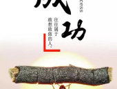 每日经典正能量励志语录,激励心灵，点亮人生