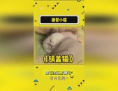 的举荐与精粹剧情剖判-文娱吃瓜幼妹-（想想久久6_想想久久6V7615(中国)官方网站IOSAndroid通用版）
