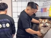 香港男星爆料某女星交易六富豪未婚生娃父切身份成谜）（济南医治排卵期出血三甲病院哪家好）！倾国倾城之谜-一卡二卡三卡四卡”的背后故事（吃瓜