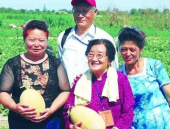 两位吃瓜教授娱乐圈,两位吃瓜教授的八卦盛宴