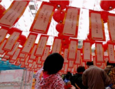 综合门市打一个字,温暖人心——李菊英门市故事”